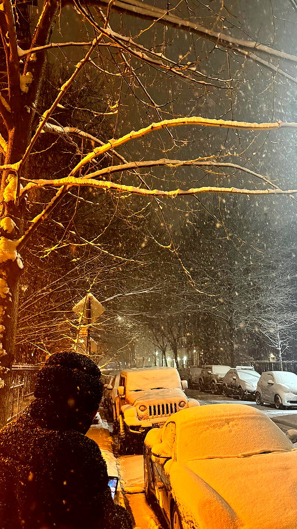 notparris instagram image archive image