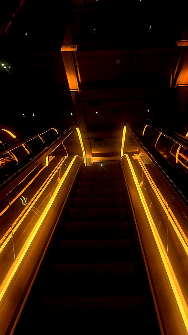 notparris instagram image archive image