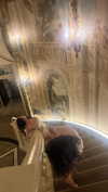 notparris Altpins Profile Picture