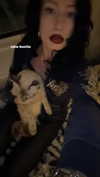 notparris Altpins Profile Picture