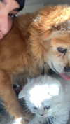noy.razz Altpins Profile Picture