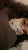 noy.razz Altpins Profile Picture