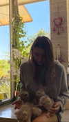 noy.razz Altpins Profile Picture