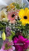 noy.razz Altpins Profile Picture