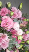 noy.razz Altpins Profile Picture