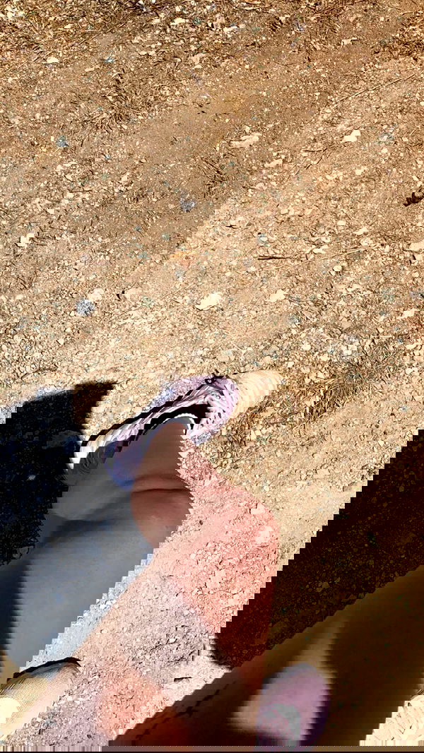 noyaislilith333 noyaislilith333 archive image