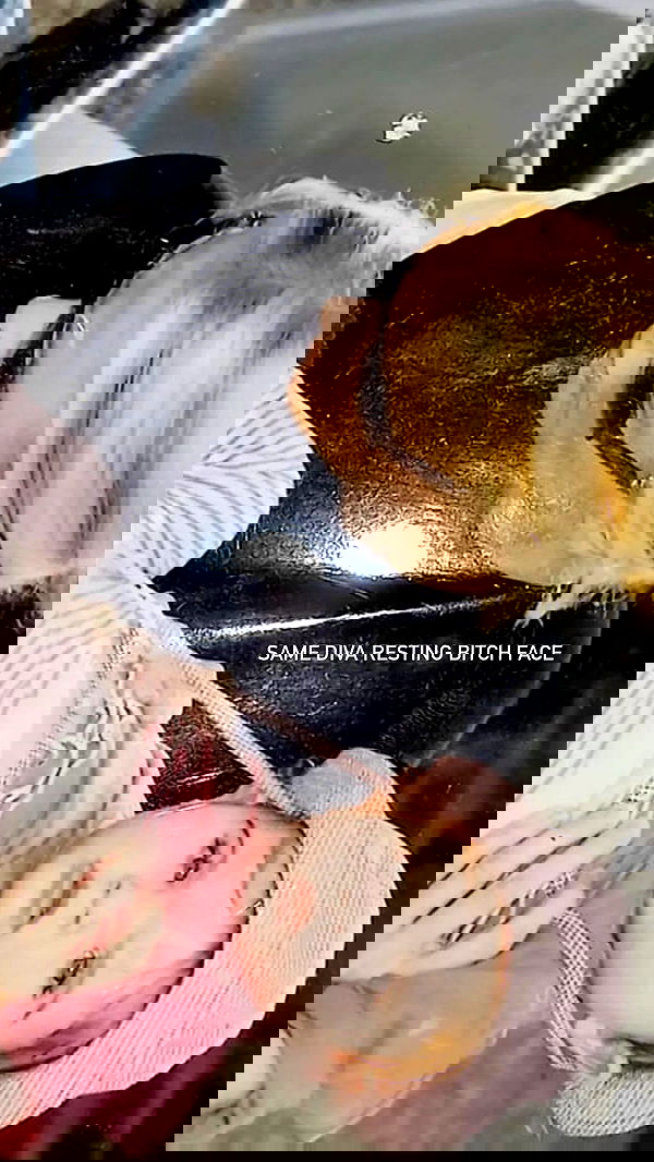 noyaislilith333 noyaislilith333 archive image