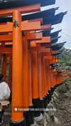 nyachty Altpins Profile Picture