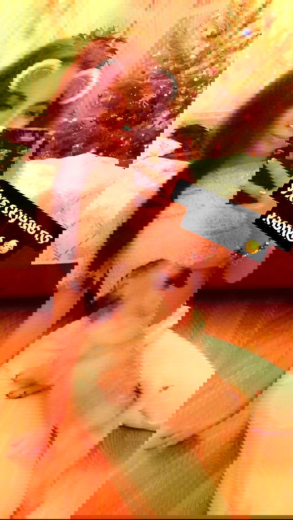 nyityam nyityam archive image