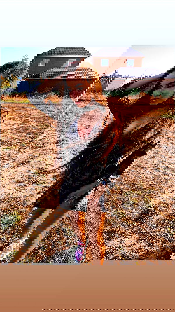 nyityam nyityam archive image