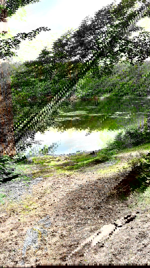 nyityam nyityam archive image