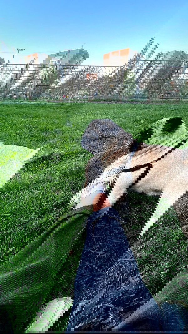 nyityam nyityam archive image