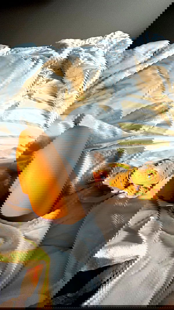 nyityam nyityam archive image