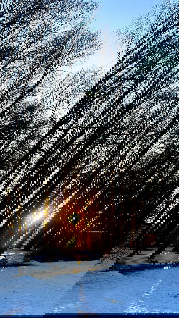 nyityam nyityam archive image