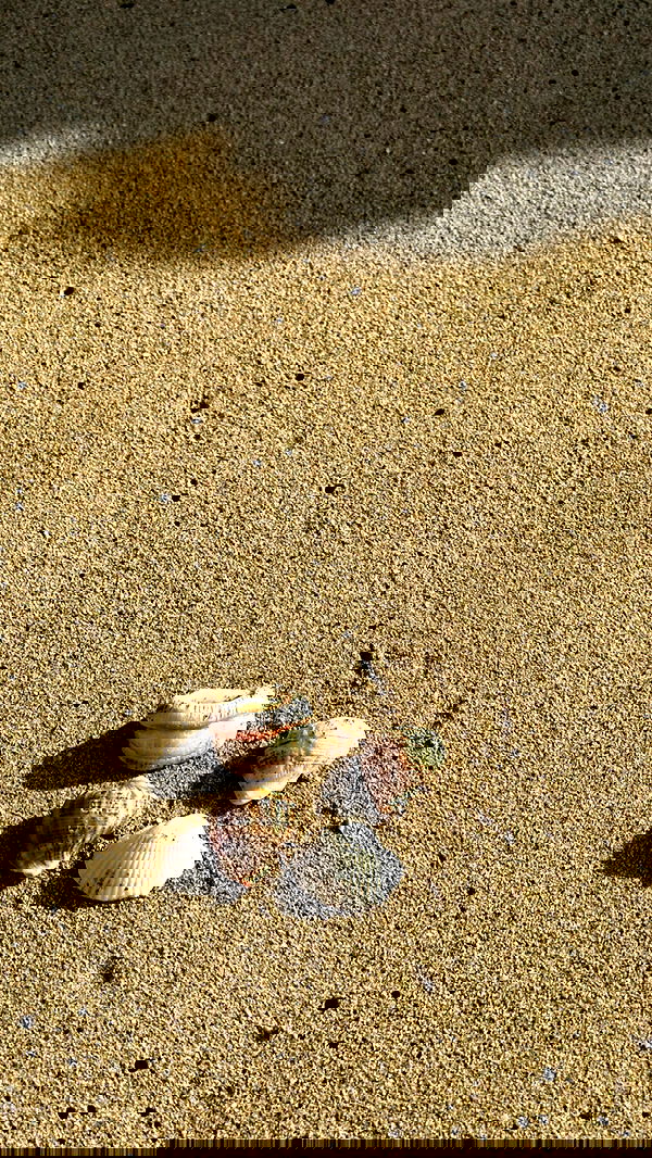 nyityam nyityam archive image