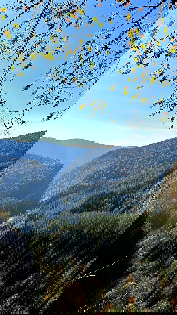 nyityam nyityam archive image