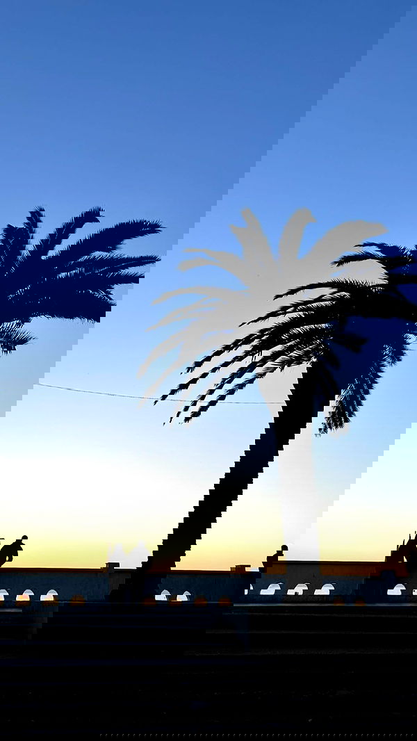 nyityam nyityam archive image