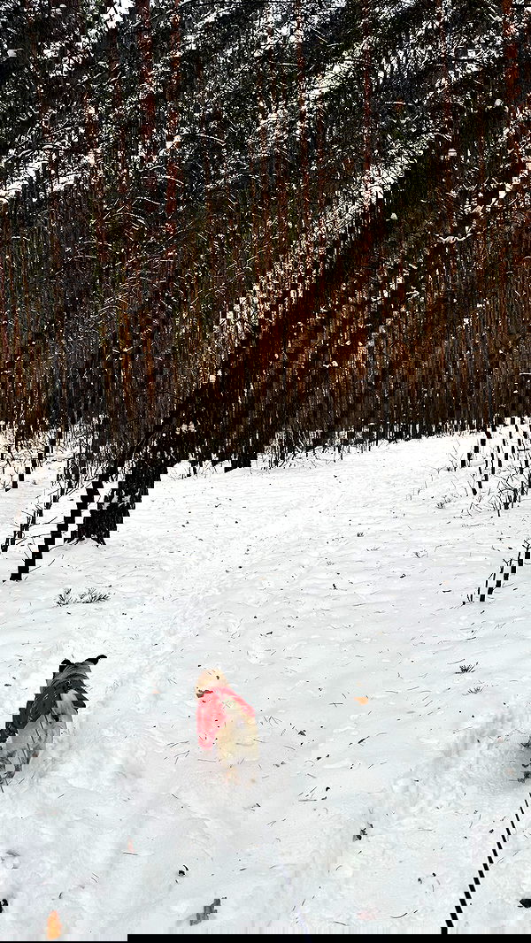 nyityam nyityam archive image