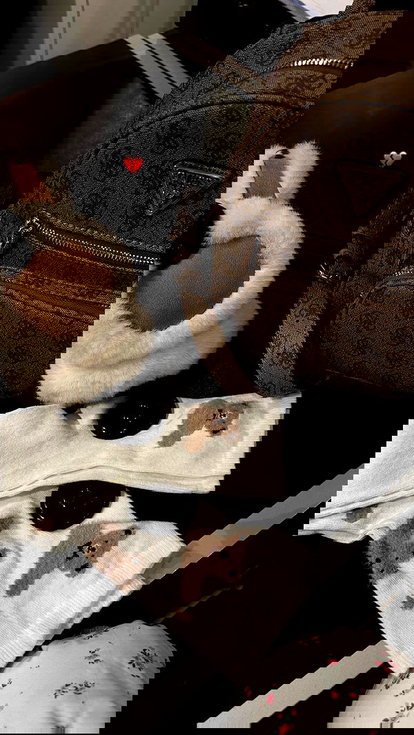 nyityam nyityam archive image