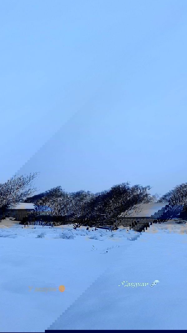 nyityam nyityam archive image