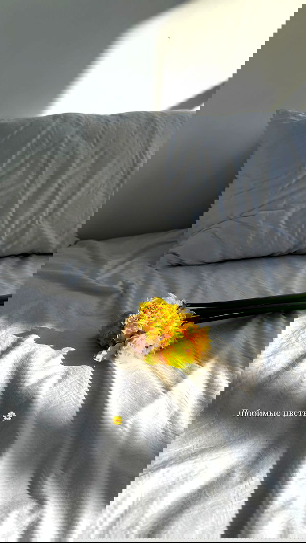 nyityam nyityam archive image