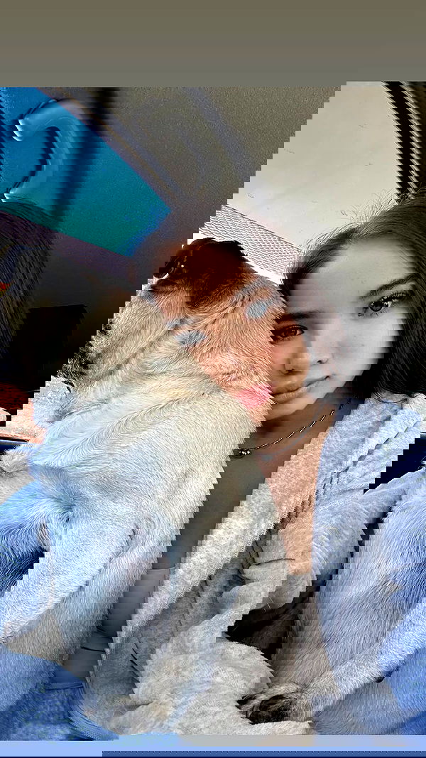 nyityam nyityam archive image