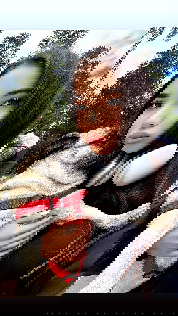 nyityam nyityam archive image