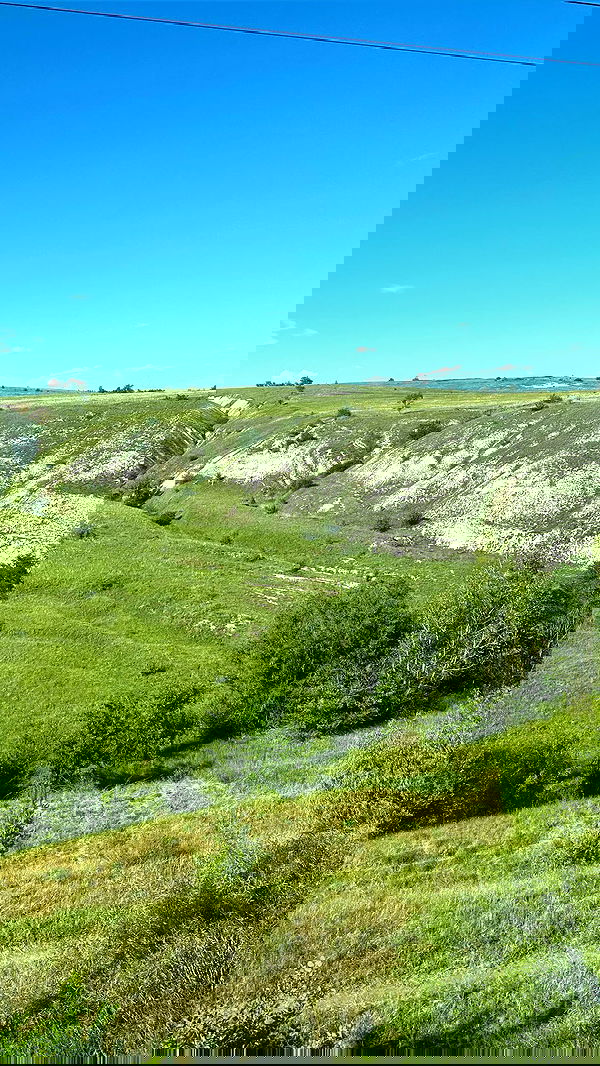 nyityam nyityam archive image