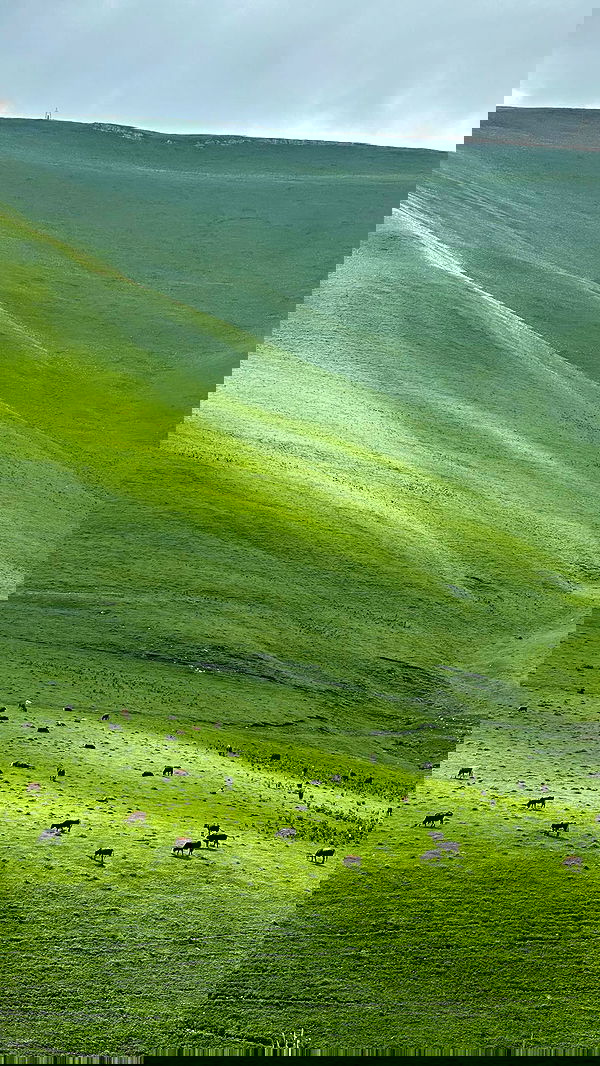 nyityam nyityam archive image