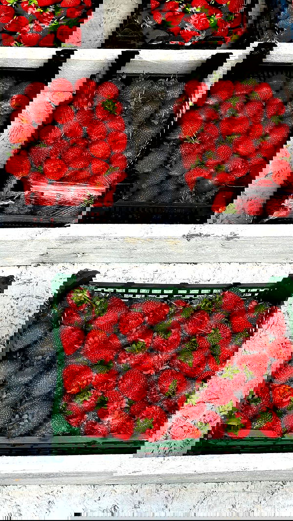 nyityam nyityam archive image