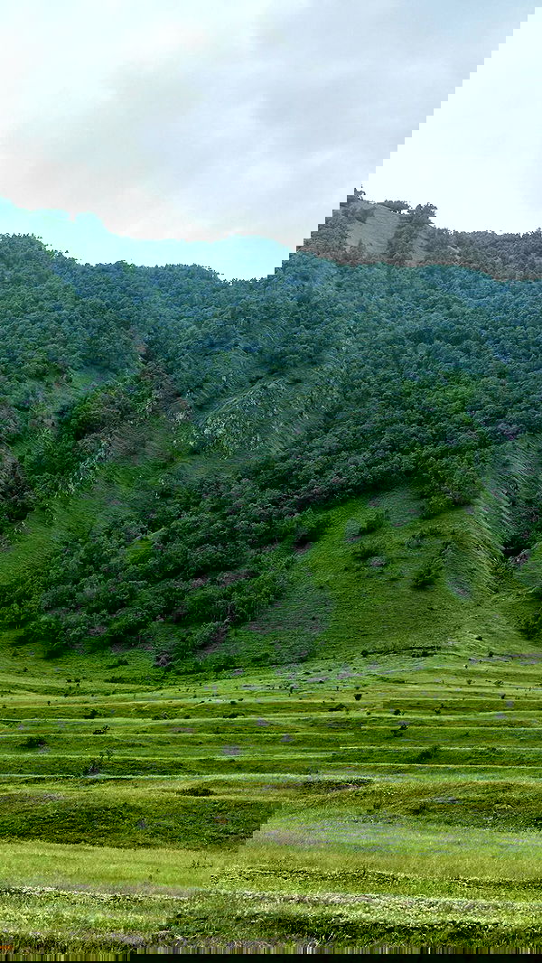 nyityam nyityam archive image