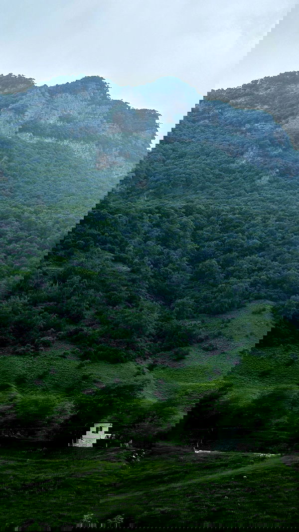 nyityam nyityam archive image