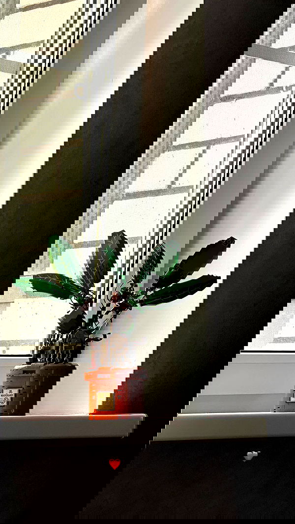 nyityam nyityam archive image