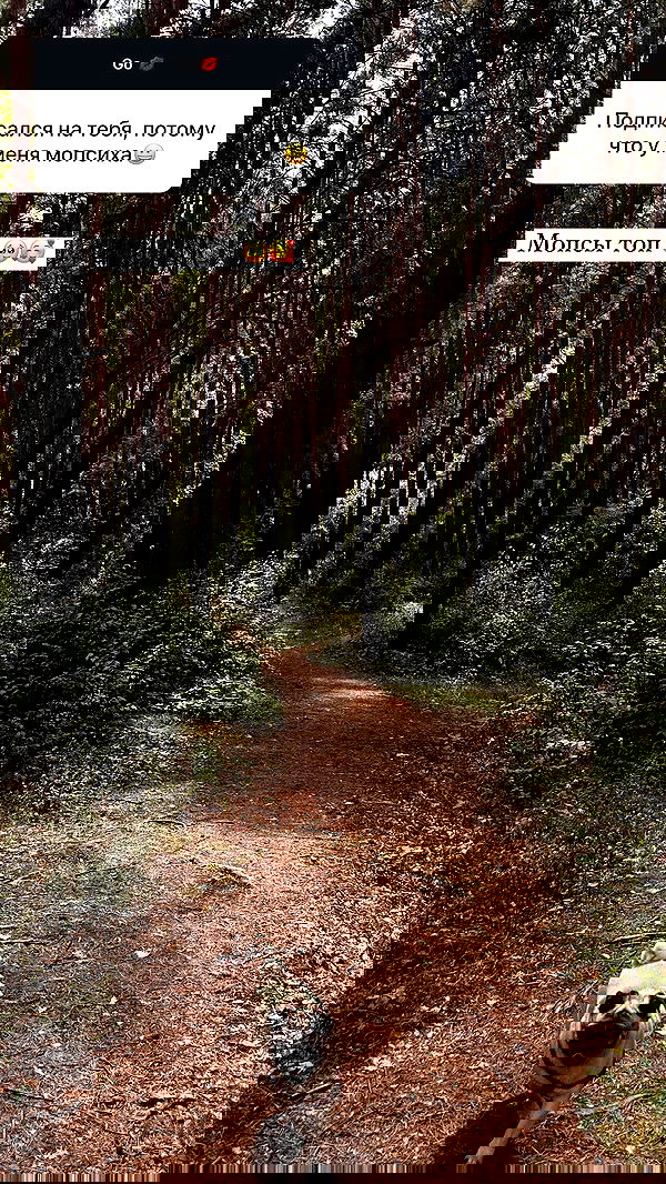 nyityam nyityam archive image