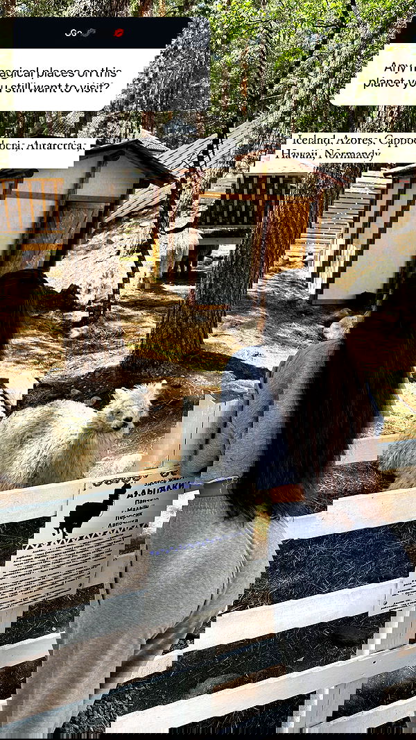 nyityam nyityam archive image