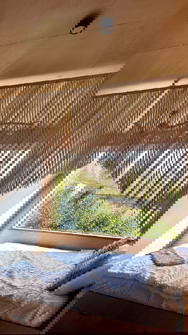 nyityam nyityam archive image