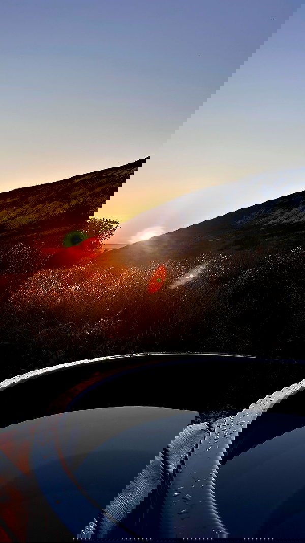 nyityam nyityam archive image