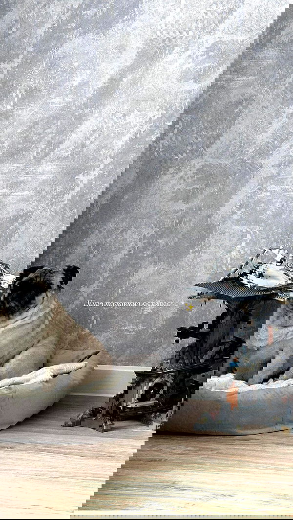 nyityam nyityam archive image