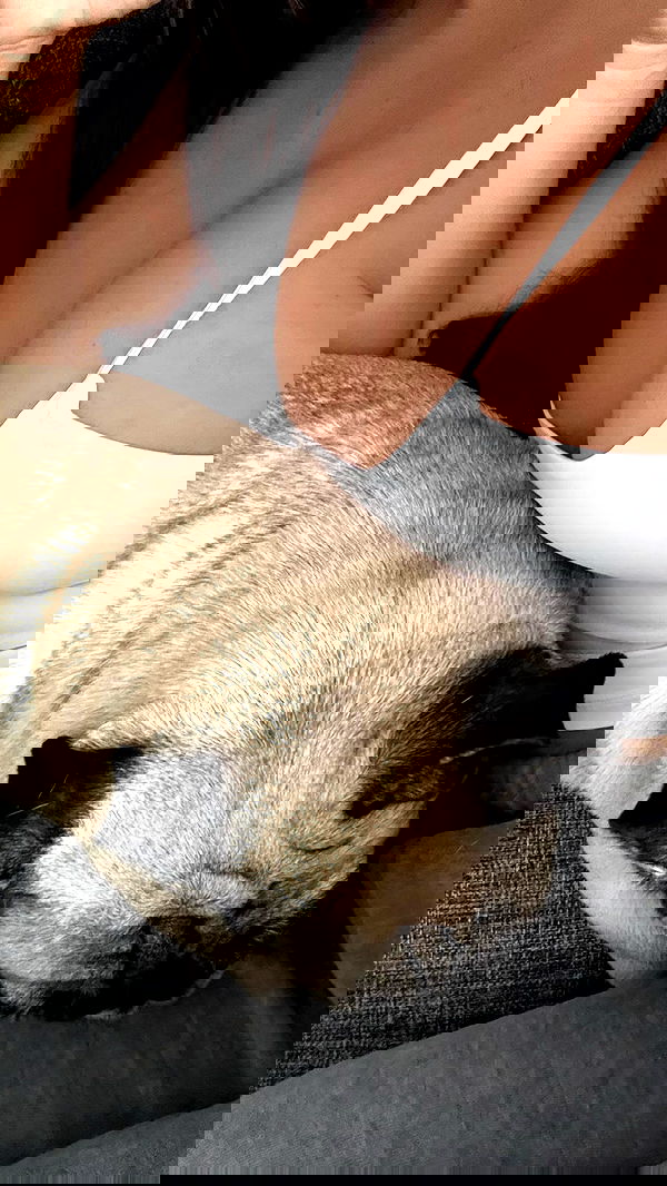 nyityam nyityam archive image