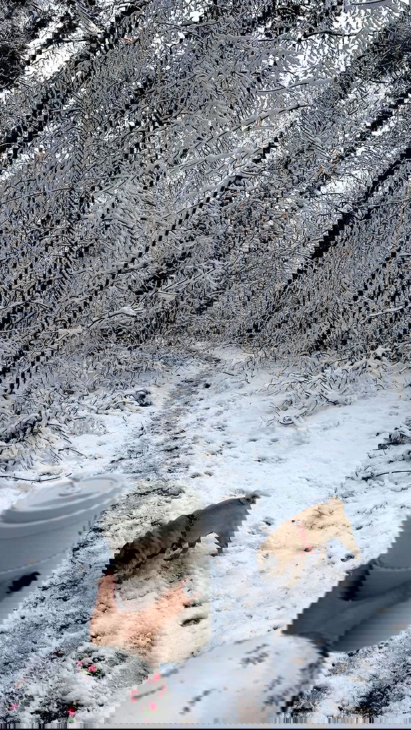 nyityam nyityam archive image