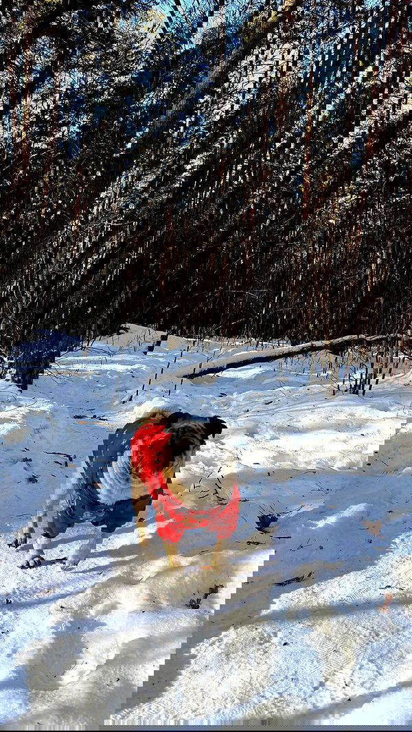 nyityam nyityam archive image