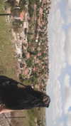 o.fek Altpins Profile Picture