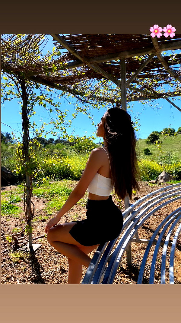 omer.lev1 instagram image archive image