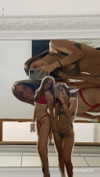 omer.lev1 Altpins Profile Picture