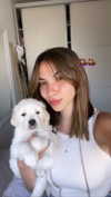 omer.lev1 Altpins Profile Picture