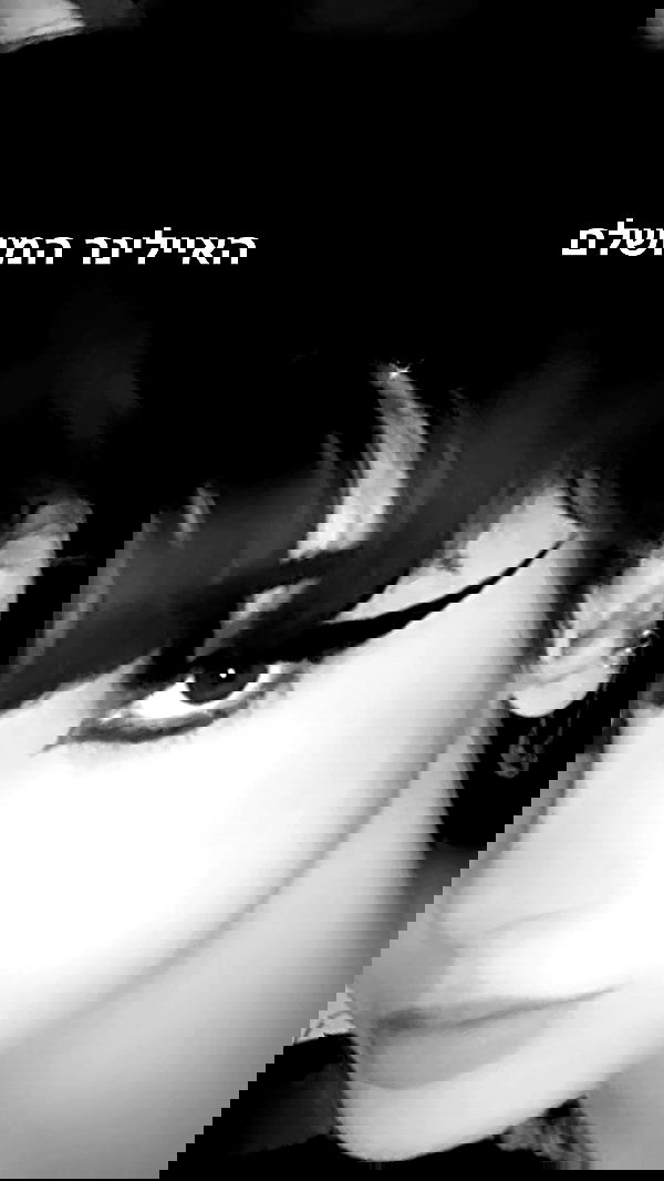 onlmeow onlmeow archive image