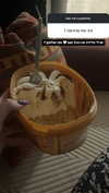 onlmeow Altpins Profile Picture