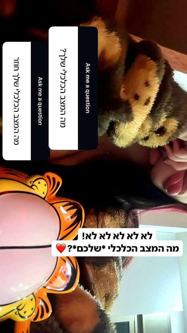 onlmeow instagram image archive image