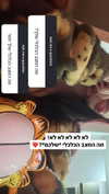onlmeow Altpins Profile Picture
