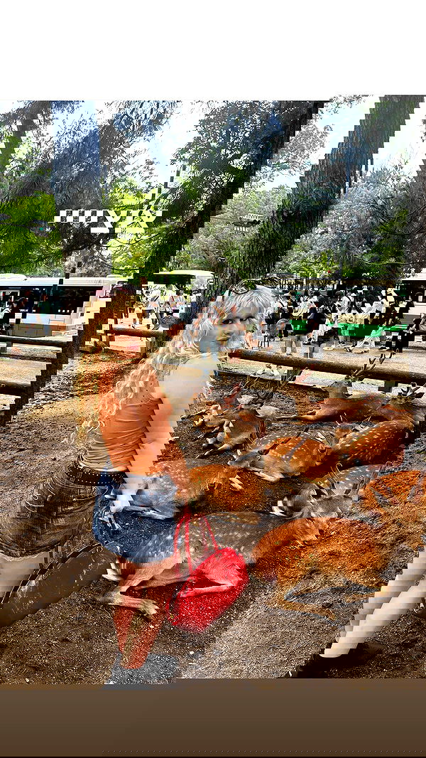 ormosheee ormosheee archive image